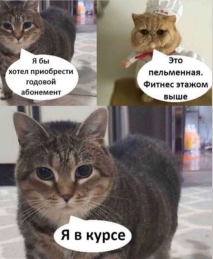 штл приобпепи пельмени Финес пажом выше годовой ябоиемещ Я в курсе
