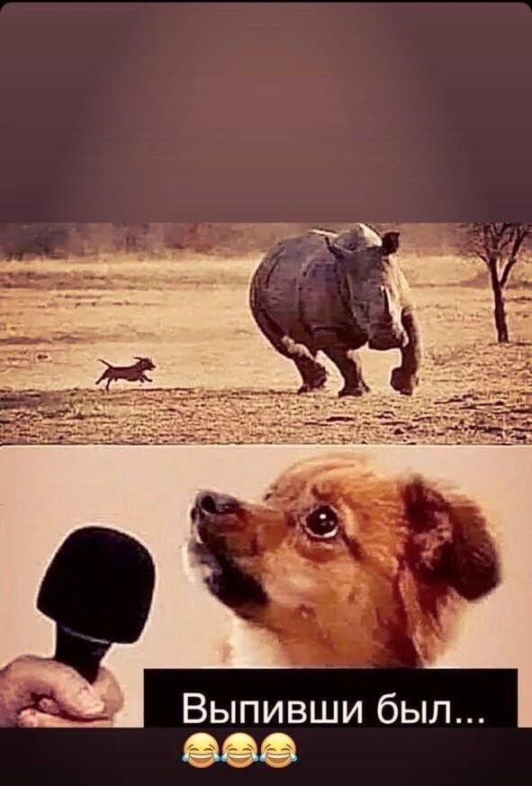 Выпивши был