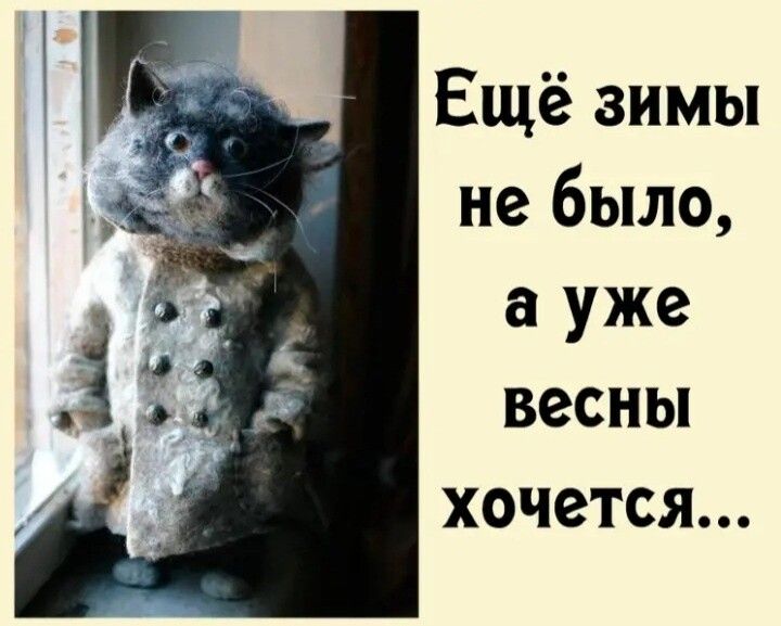 Ещё зимы не было а уже весны хочется