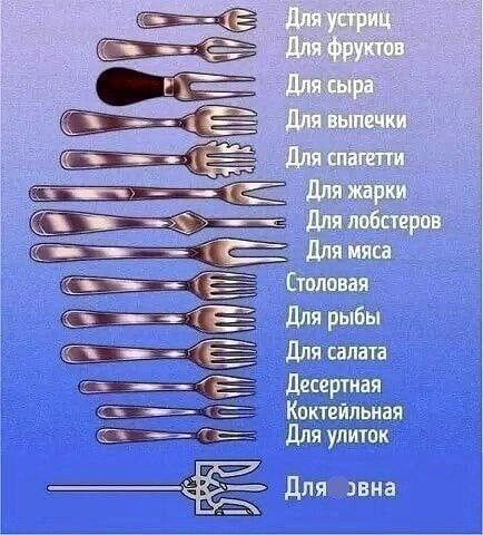 _ 3 тли