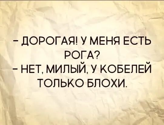 ДОРОГАЯ У МЕНЯ ЕСТЬ РОГА НЕТ МИПЫЙ У КОБЕПЕЙ ТОЛЬКО БПОХИ