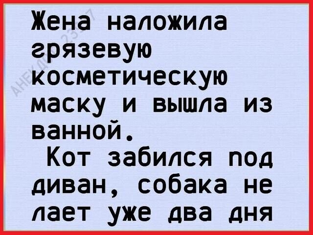 Жена наложила грязевую косметическую маску и вышла из ванной Кот забился под диван собака не дает уже два дня