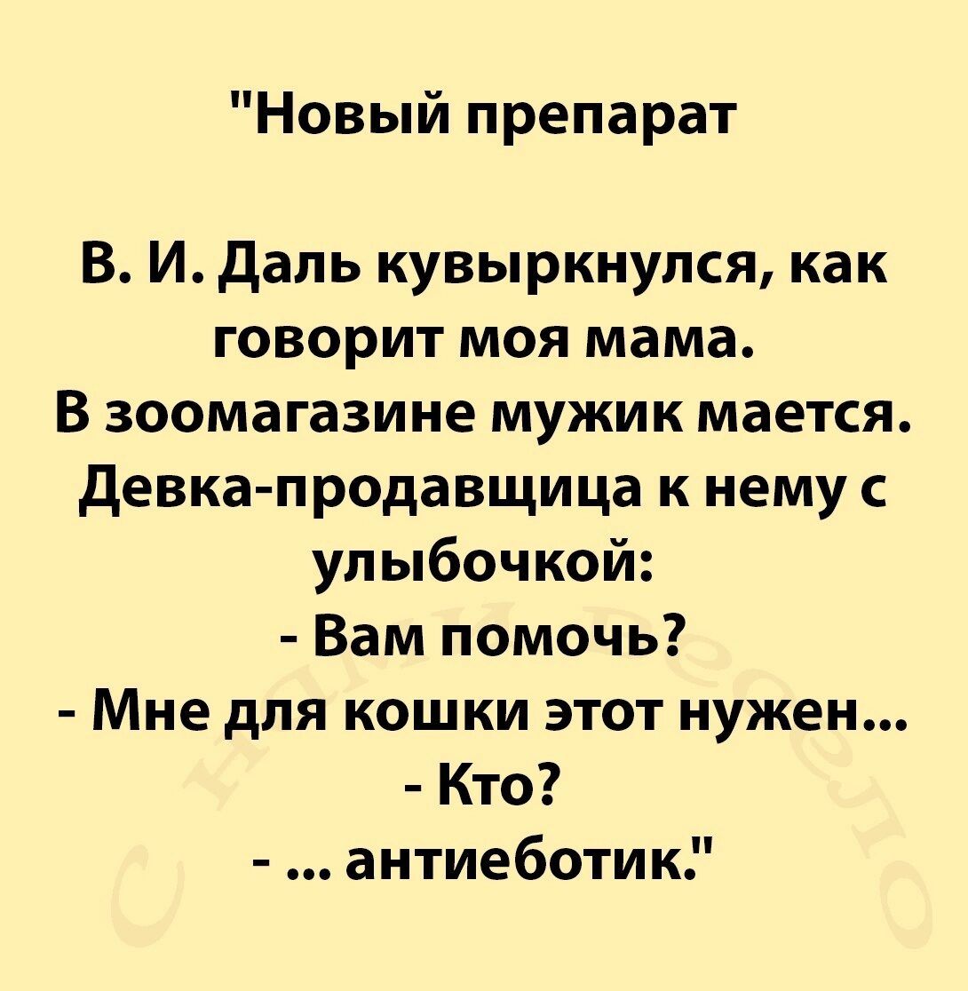 Новый препарат В Идапь кувыркнупся как говорит моя мама В зоомагазине мужик мается девка продавщица к нему упыбочкой Вам помочь Мне для кошки этот нужен Кто антиеботик