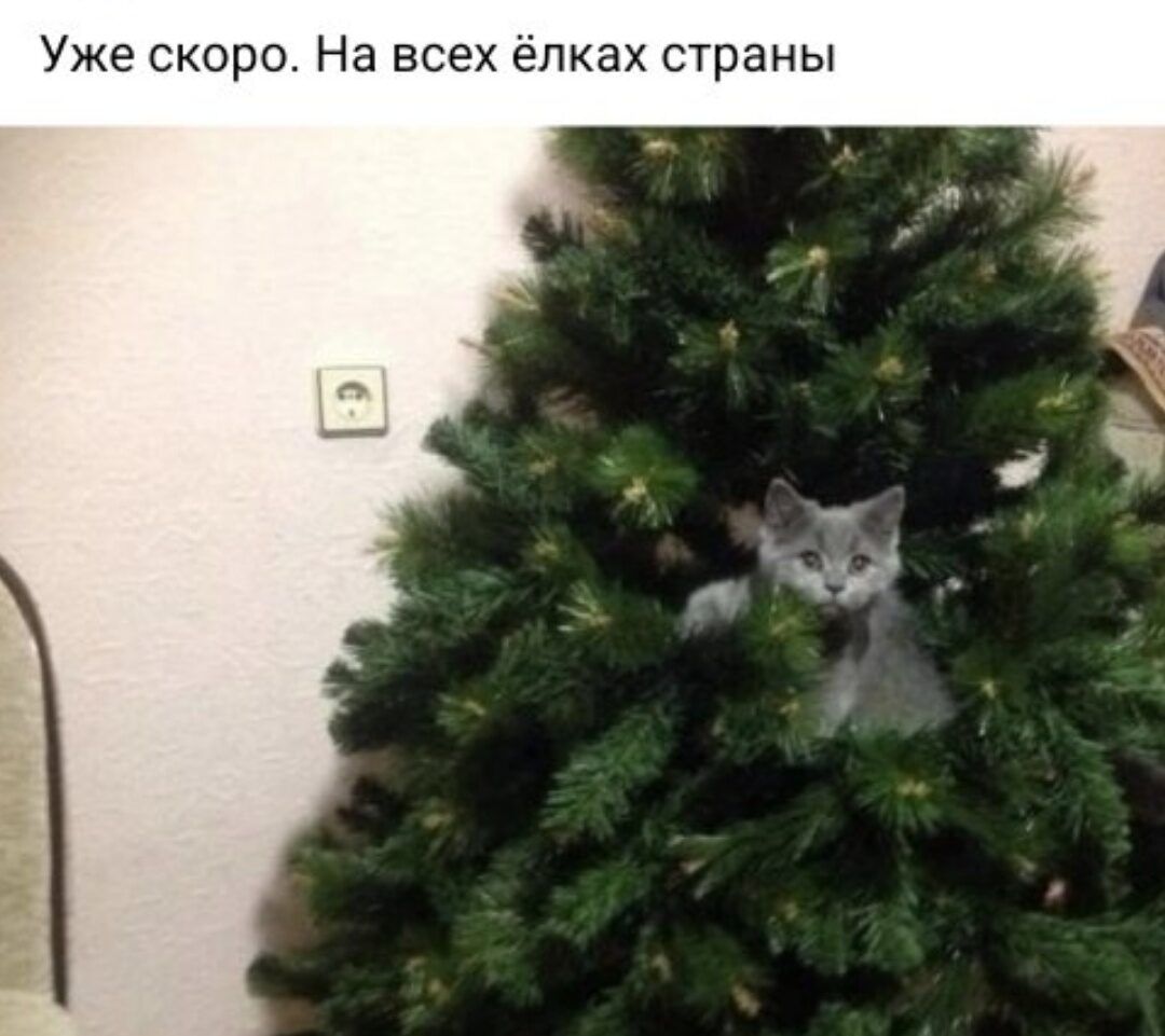 Уже скоро На всех епках страны
