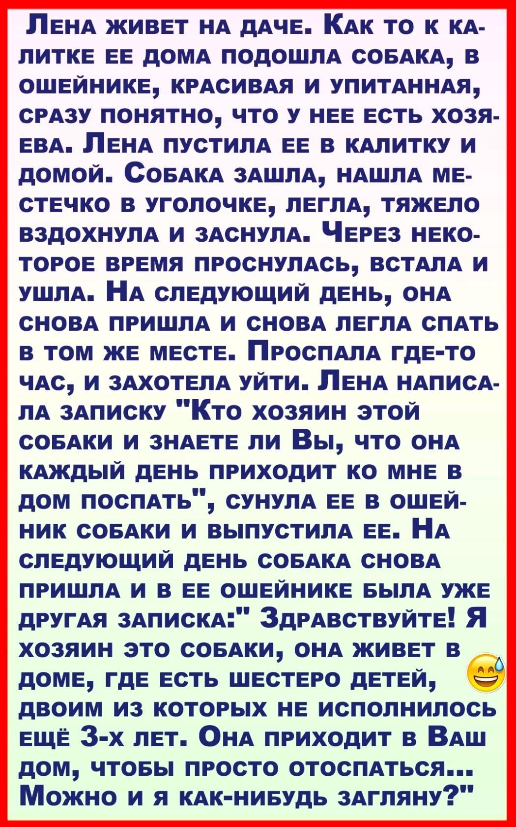 ЛЕНА живЕт НА дАЧЕ КАк то к КА ПИТКЕ ЕЕ дОМА ПОДОЩПА СОБАКА В ОШЕЙНИКЕ  КРАСИВАЯ И УПИТАННАЯ СРАЗУ понятно что у НЕЕ Есть хозя ЕвА ЛЕНА пустИЛА ЕЕ в  кдлитку и