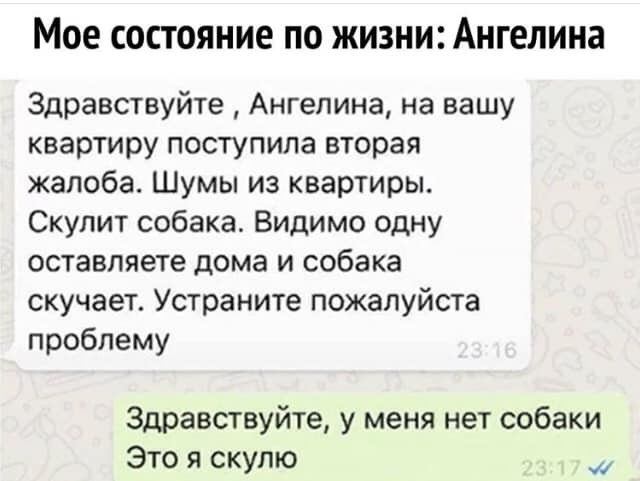 МОЕ СОСТОЯНИ8 ПО ЖИЗНИ Ангелина Здравствуйте Ангелина на вашу квартиру поступила вторая жалоба Шумы из квартиры Скупит собака Видимо одну оставляете дома и собака скучает Устраните пожалуйста проблему Здравствуйте у меня нет собаки Это я скулю