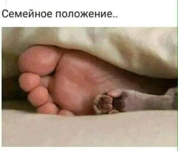 Семейное положение