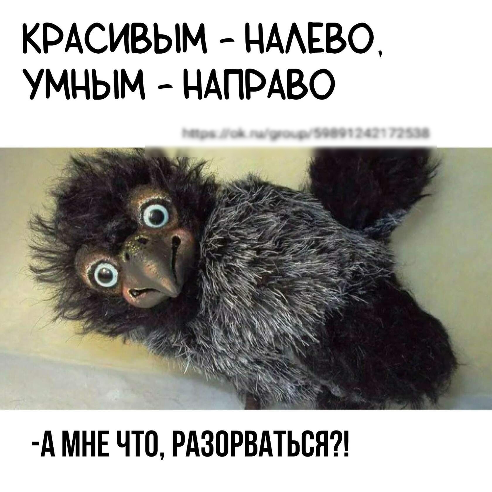 КРАСИВЫМ НААЕВО УМНЫМ НАПРАВО А МНЕ ЧТП РАЗОРВАТЬБН