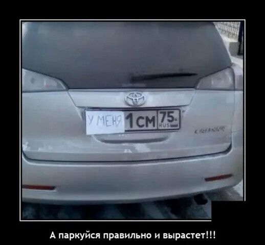 А паркуйач припильио и выгнан