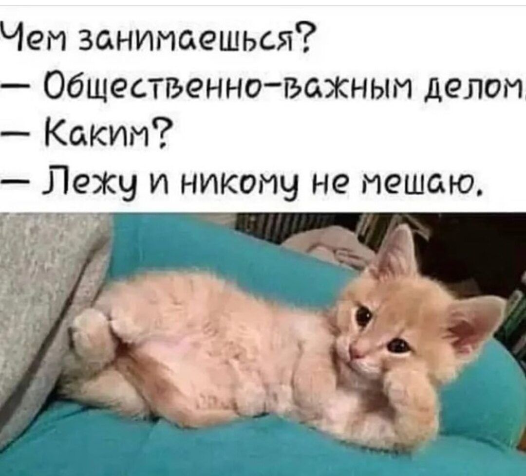 Чем занимаешься Общественно гэажиыи делом Каким Лежч и никопч не мешаю