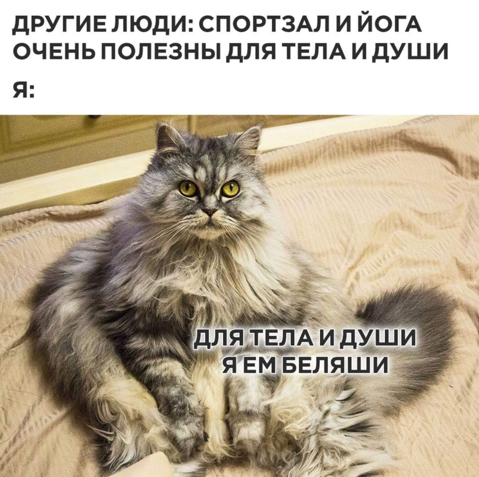 ИОГА ОЧЕНЬ ПОЛЕЗНЫДЛЯ ТЕЛА И дУШИ дРУГИЕ ЛЮДИ СПОРТЗАЛ И