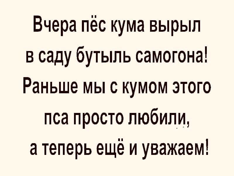 Вчера пёс кума вырыл в саду бутыль самогона Раньше мыс кумом этого пса просто любили а теперь ещё и уважаем
