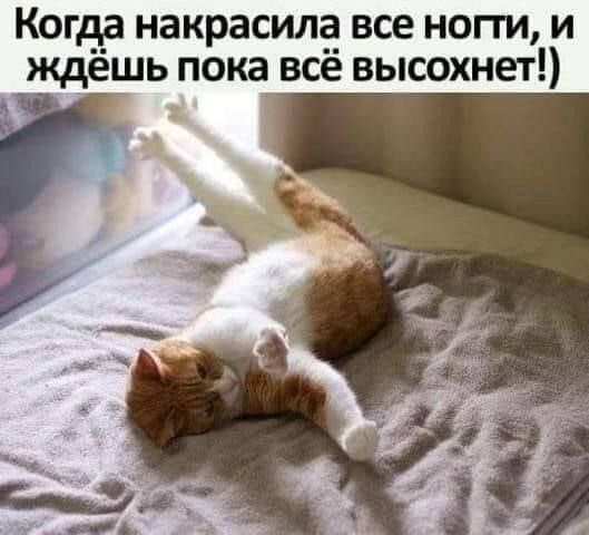 Когда накрасилё все ногги и ждещь пока все высохнет