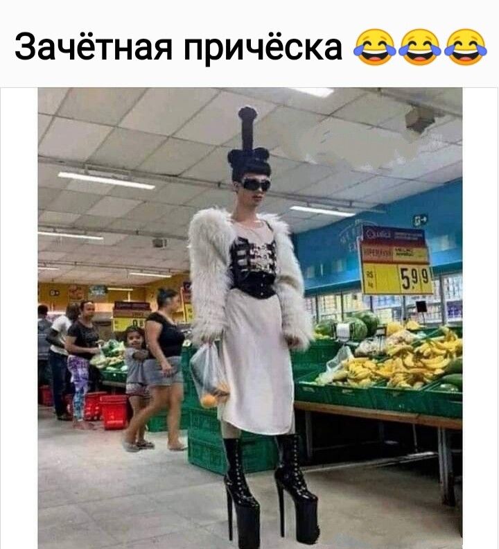 Зачётная причёска зоо