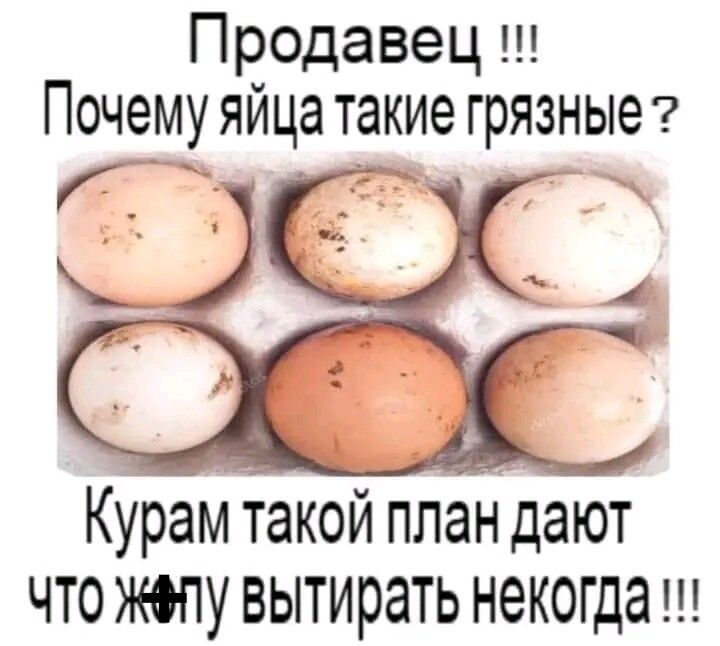 Почему яйца висят. Яйца вот такие. Горячие яйца почему. Почему яйца грязные цитаты. Морфология яйца с/х кур.