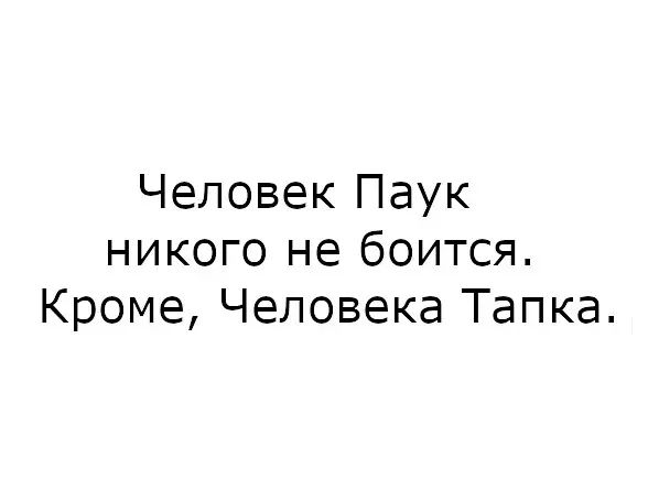 Человек Паук никого не боится Кроме Человека Тапка