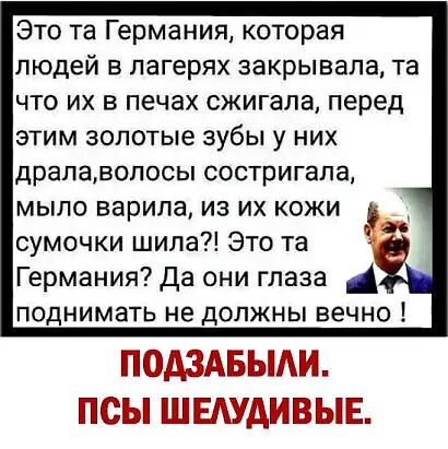 Это та Германия которая людей в лагерях закрывала та что их в печах сжигала перед этим золотые зубы у них драла волосы состригапа мыло варила из их кожи В сумочки шипа Это та Германия Да они глаза поднимать не должны вечно ПСВДЗАБЬ ППСЫ ПШЕДУДШВЫЕ