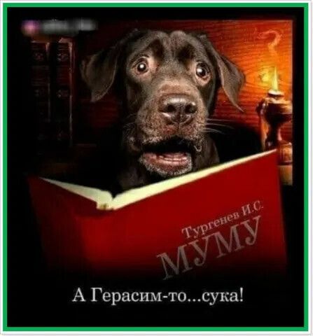 А Герасим тосука
