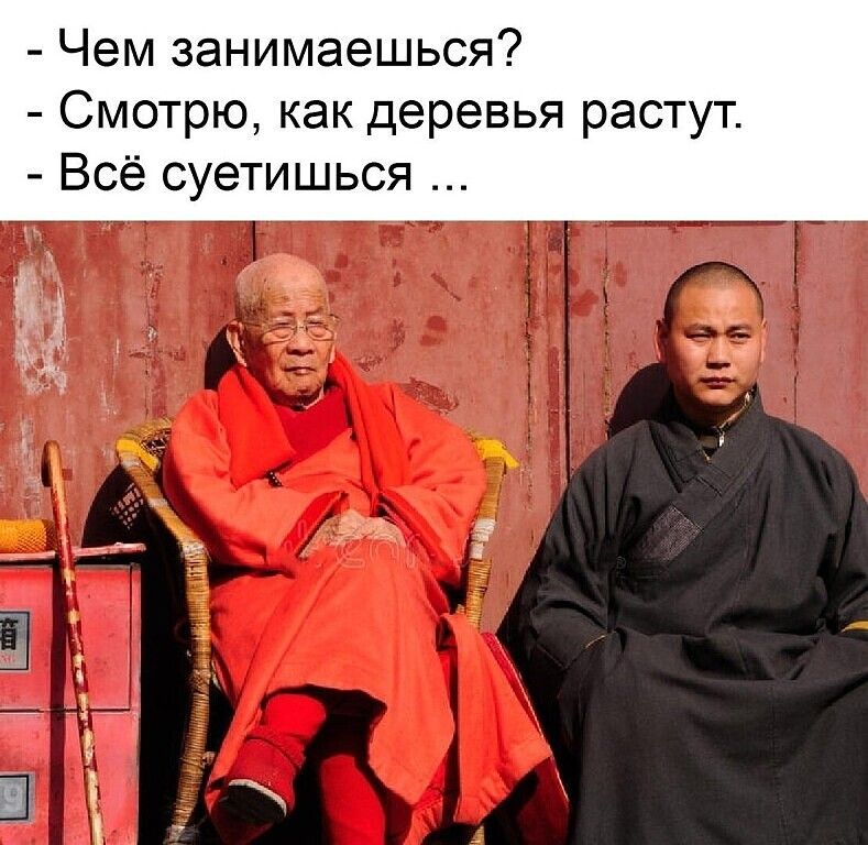 Чем занимаешься Смотрю как деревья растут Всё суетишься