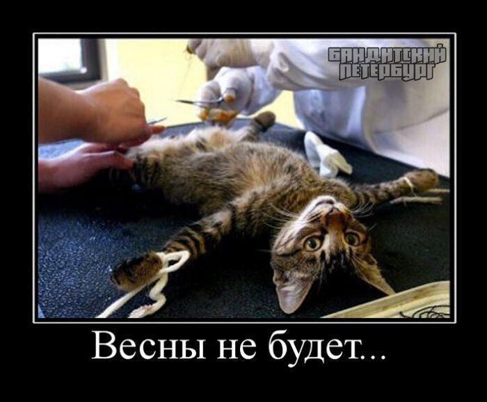 Весны не будет