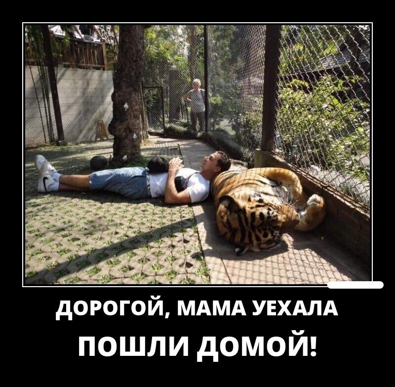 Ё дОРОГОЙ МАМА УЕХАЛА пошли домой