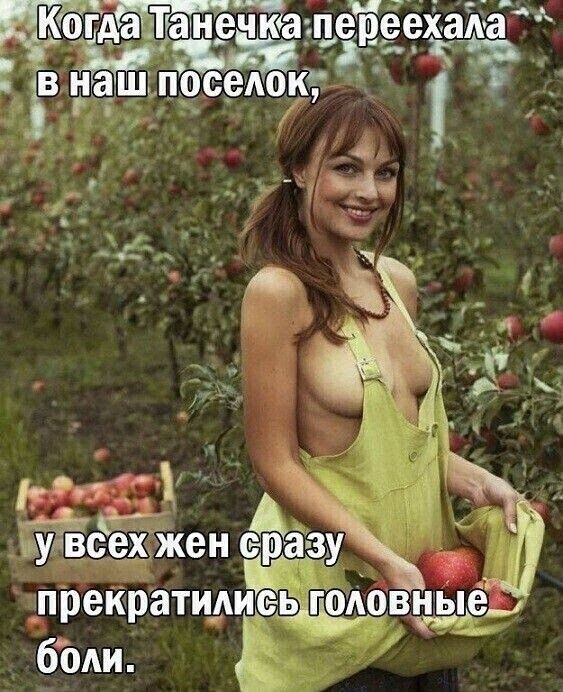 976 ыулвсех Жен прекратил боди