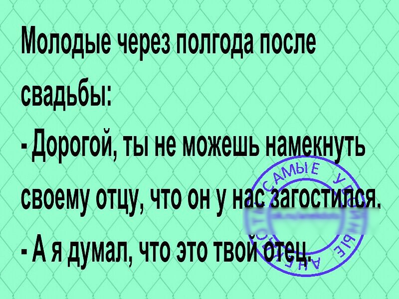 Молодые через полгода после свадьбы Дорогой ты не можешь на н ть своему отцу что он у Моё грейд А я думал что это