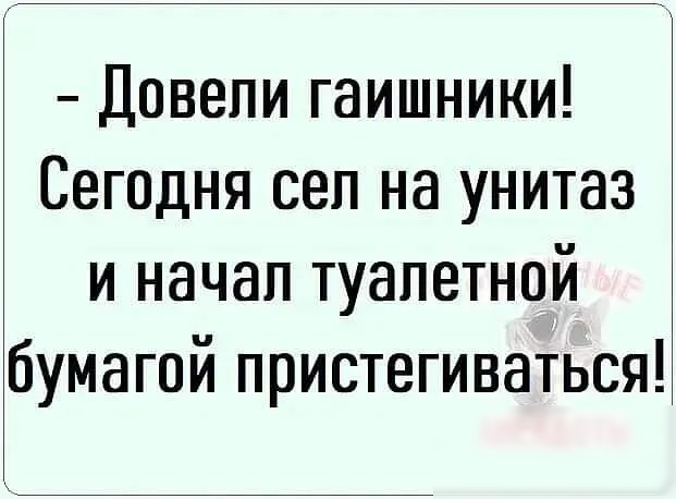 Довели гаишники Сегодня сел на унитаз и начал туалетной бумагой пристегиваться