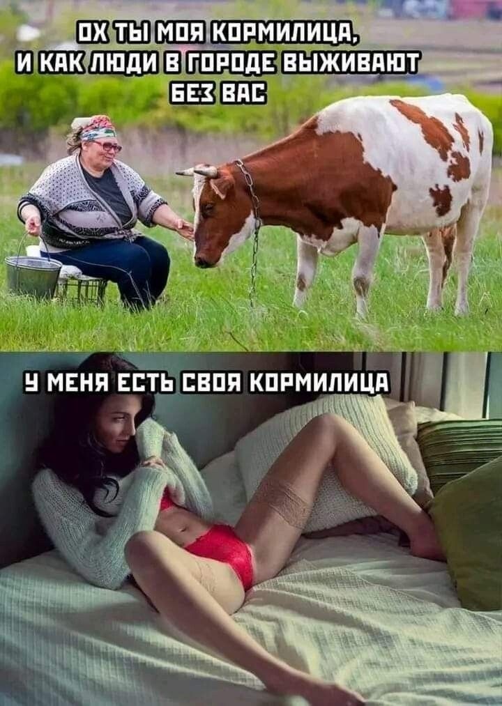 и кпк миди 5115521127 _ типам и меня пть нпя кппмипицп