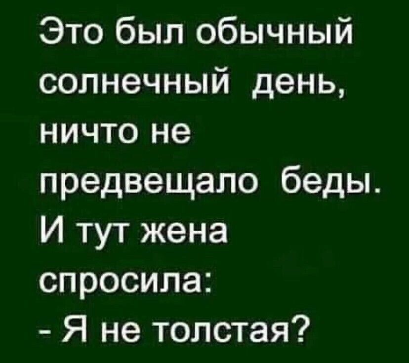 Это был обычный солнечный день ничто не предвещало беды И тут жена спросила Я не толстая