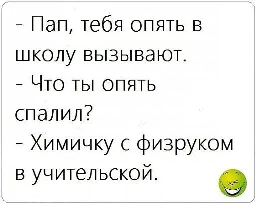 Пап тебя опять в школу вызывают Что ты опять спалил Химичку с физруком в учительском О