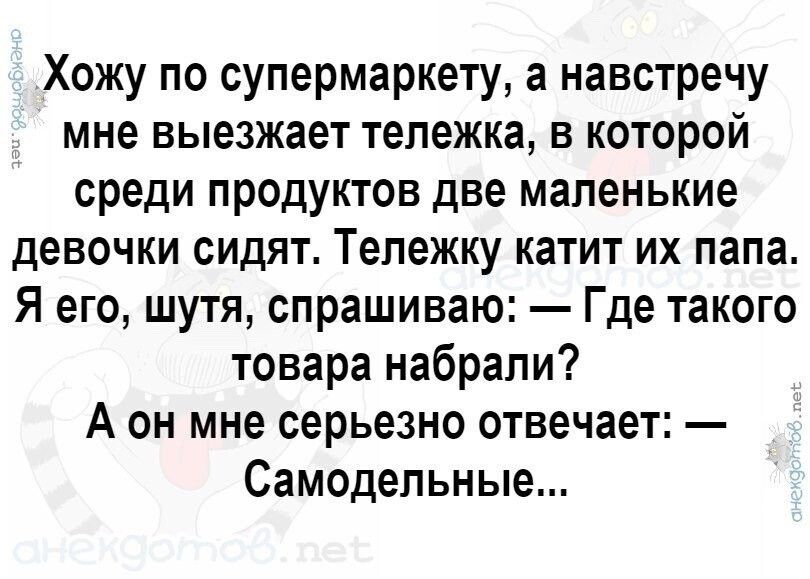 Хожу по супермаркету а навстречу мне выезжает тележка в которой среди продуктов две маленькие девочки СИДЯТ Тепежку катит ИХ папа Я его шутя спрашиваю Где такого товара набрали А он мне серьезно отвечает Самодельные