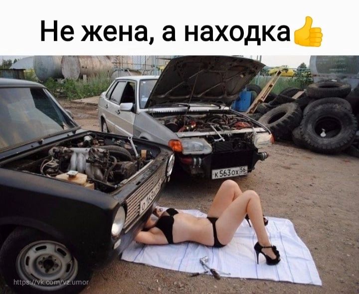 Не жена а находка