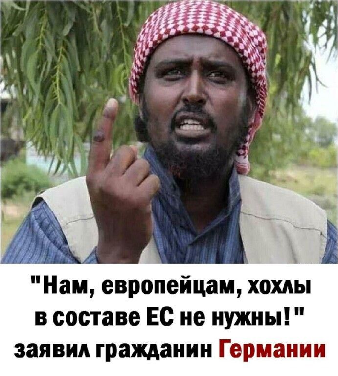 Нам европейцам хохлы в составе Ес не нужны заявил гражданин Германии
