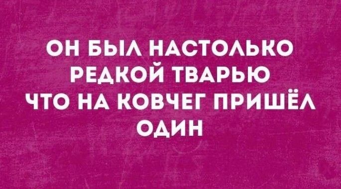 он БЫА НАСТОАЬКО РЕАКОЙ ТВАРЫО что НА ковчег ПРИШЁА ОАИН