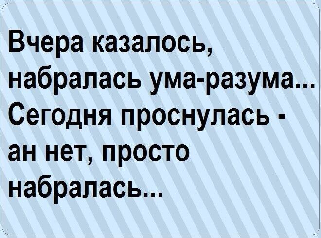 Вчера казалось набралась ума разума Сегодня проснулась ан нет просто набралась