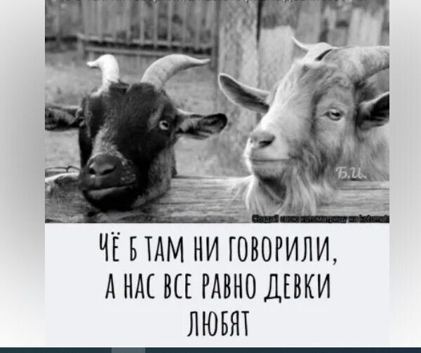 втдм ни творили А нм вы но швки лювят