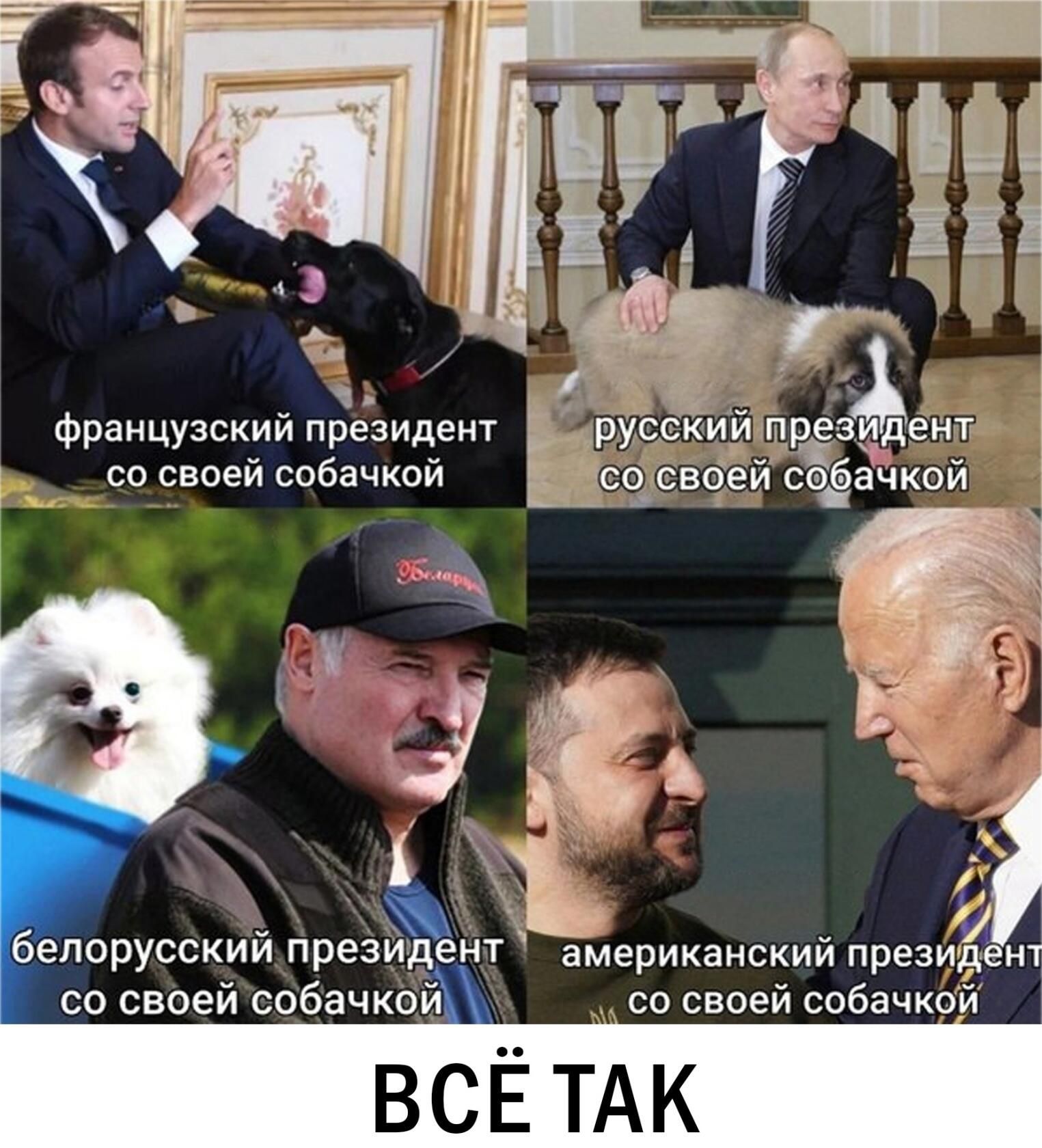 французский президент со своей собачкой американский презид со своей собачкой со своей собачкой ВСЁТАК