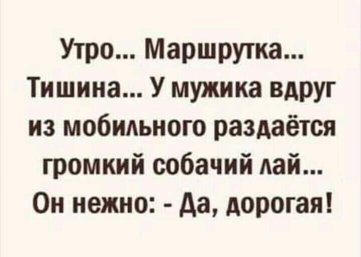 Утро Маршрутка Тишина У мужика вдруг из мобидьного раздаётся громкий собачий дай Ои нежно да дорогая