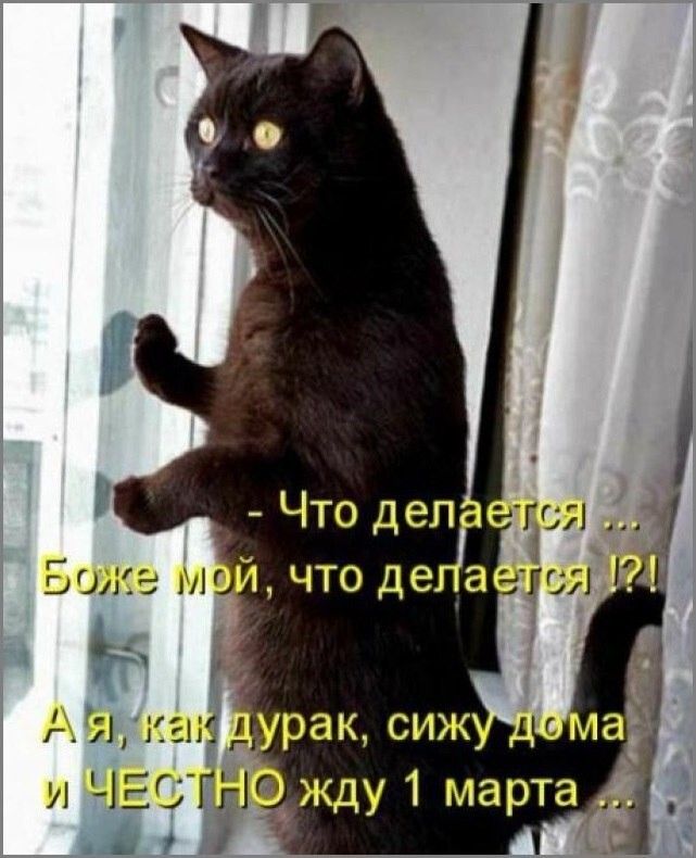 ИЗЕдеЯГ жду 1 марта шё 3
