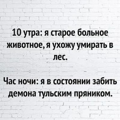 10 утра я старое больное животное я ухожу умирать в лес Час ночи я в состоянии забить демона тульским пряником