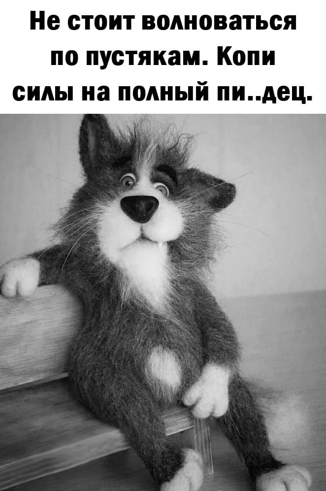 Не стоит волноваться по пустякам Копи силы на полный пидец