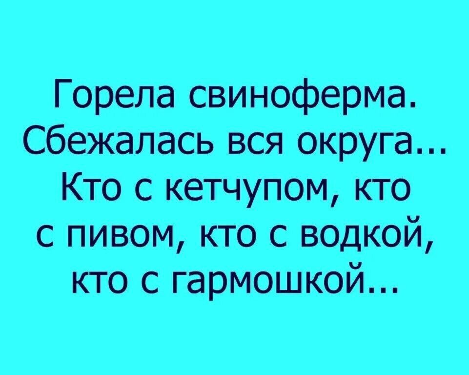 Горела свиноферма Сбежалась вся округа Кто с кетчупом кто с пивом кто с водкой кто с гармошкой