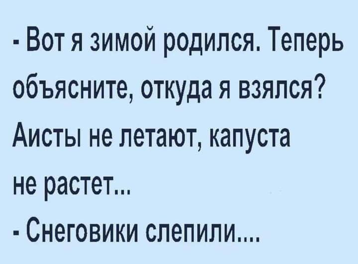 Вот я зимой родился Теперь объясните откуда я взялся Аисты не летают капуста не растет Снеговики спепили