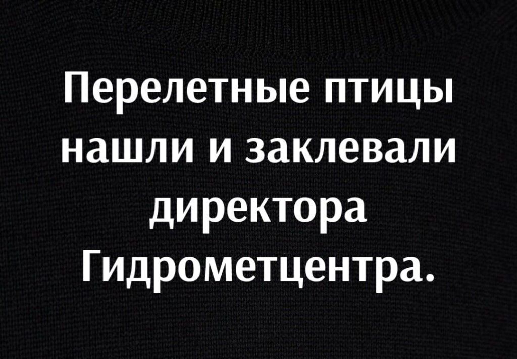 Перелетные птицы нашли и заклевали директора Гидрометцентра