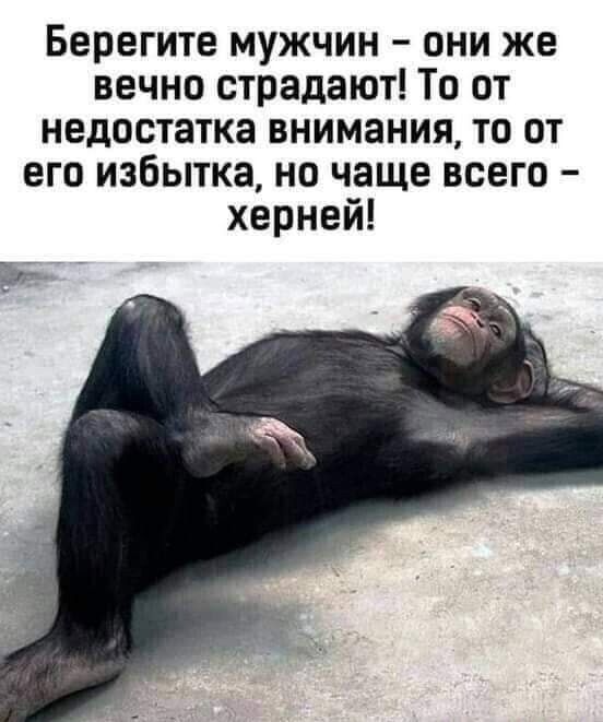 Берегите мужчин они же вечно страдают То от недостатка внимания то от его избытка но чаще всего херней
