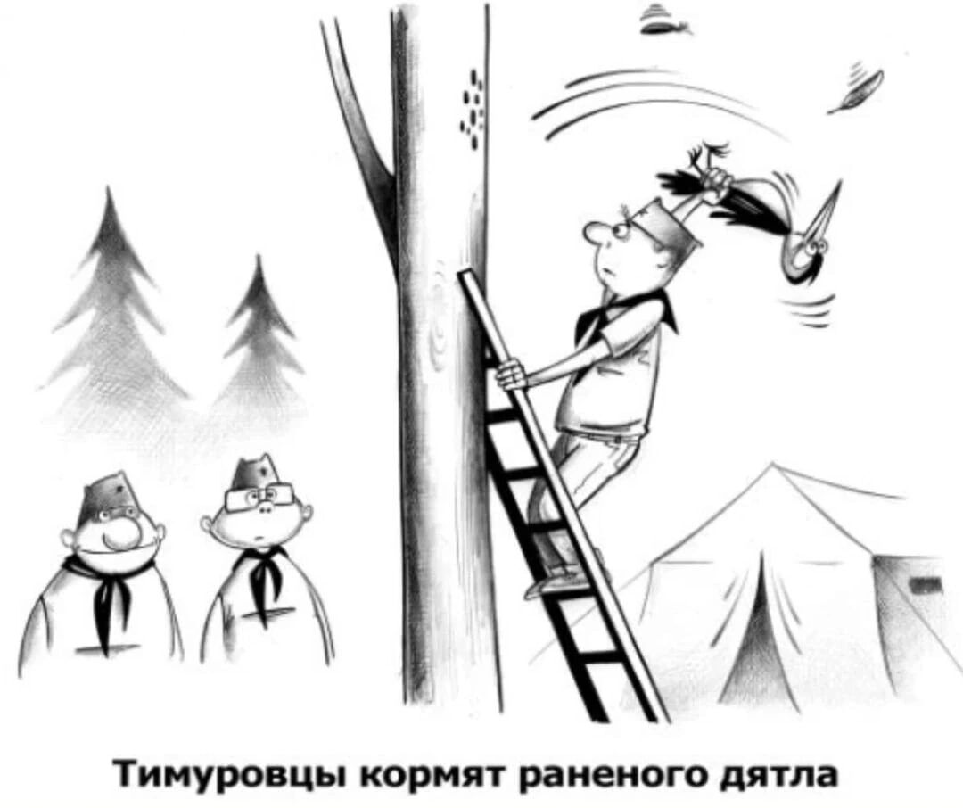 Тимуронцы кормят раненого дятла