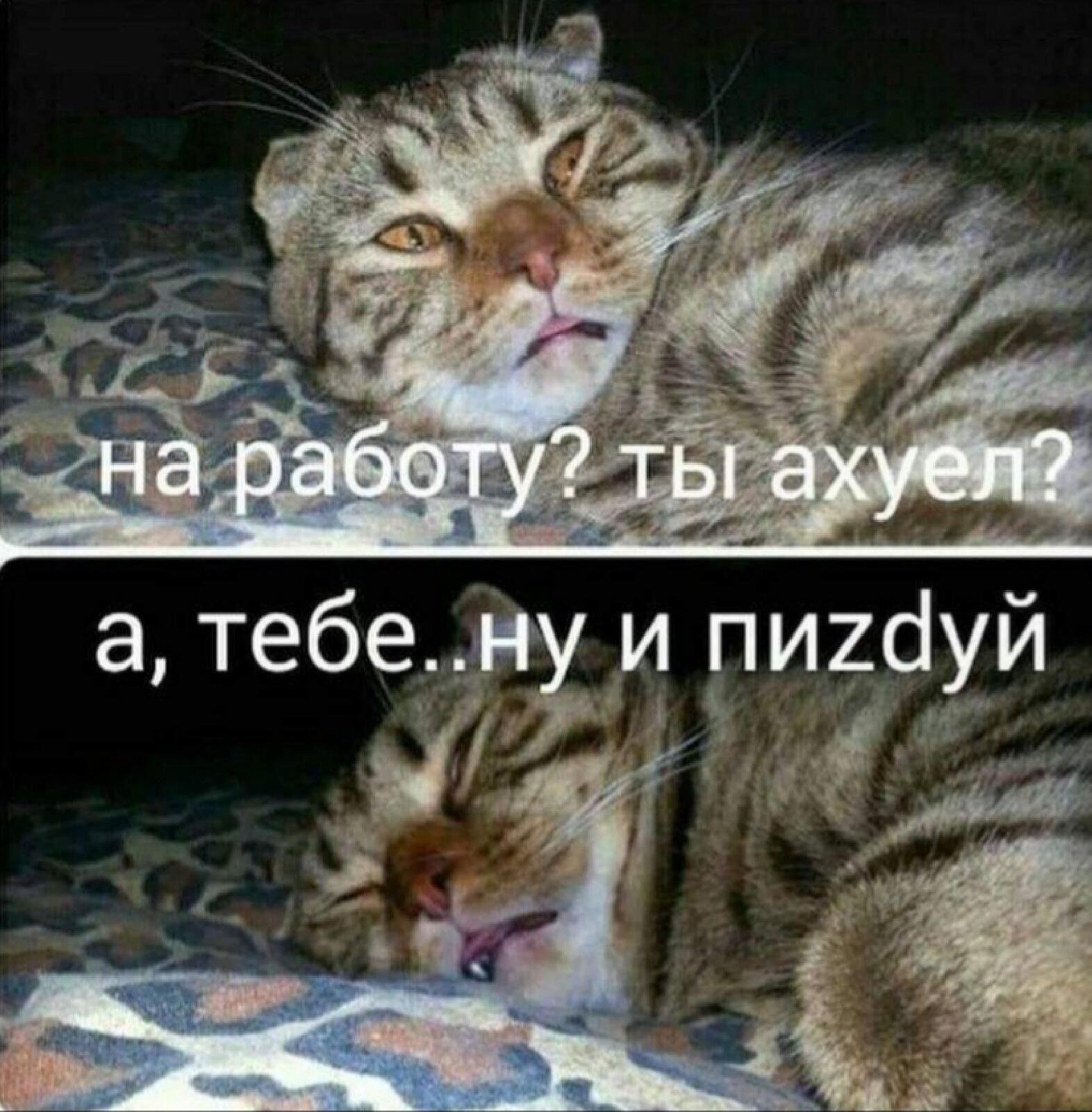 а тебе_ рти пииіуй 43