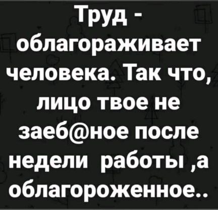 Труд облагораживает человека Так что лицо твое не заебное после недели работы а облагороженное
