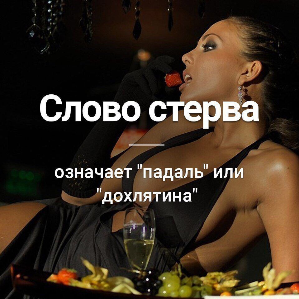 Слово означ до тина